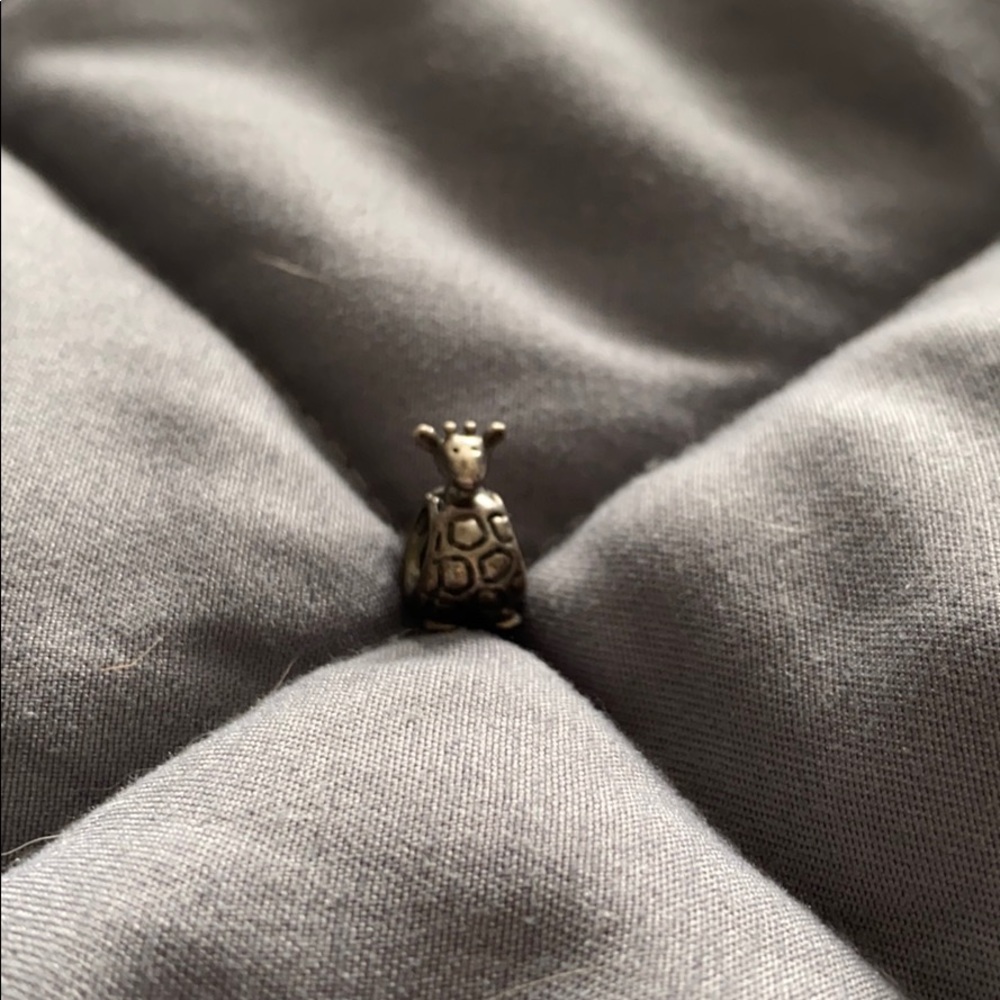 Pandora charm